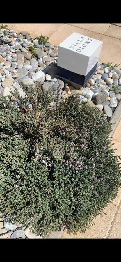Dione Villa Kokkinos Pyrgos Zewnętrze zdjęcie